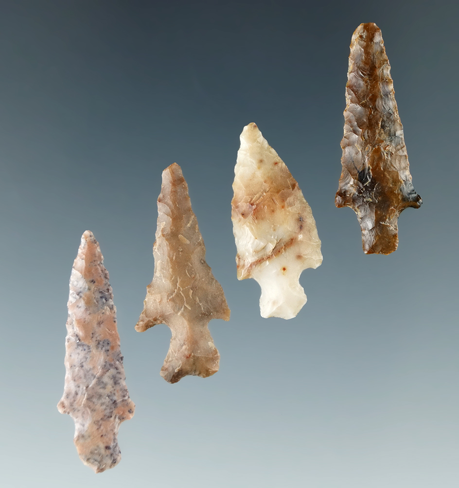 Set of four Dagger points found near the Columbia River, largest is 1 1/8".