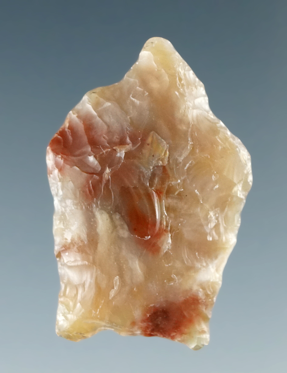 Rare! 1 1/8" Paleo Spedis perforator made from attractive multicolored  agate - Columbia River.