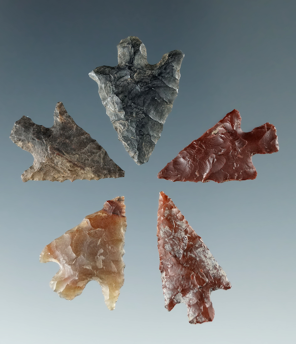 Set of five assorted Columbia River arrowheads, largest is 13/16".