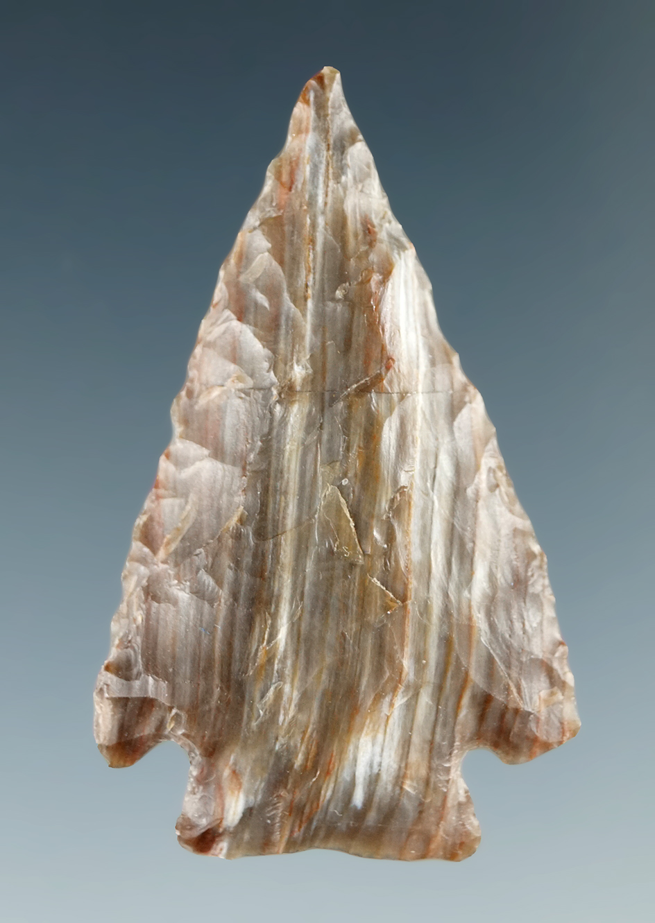 Beautiful material on this 1 1/2" Quilomene Bar - petrified wood f- mid-Columbia River.