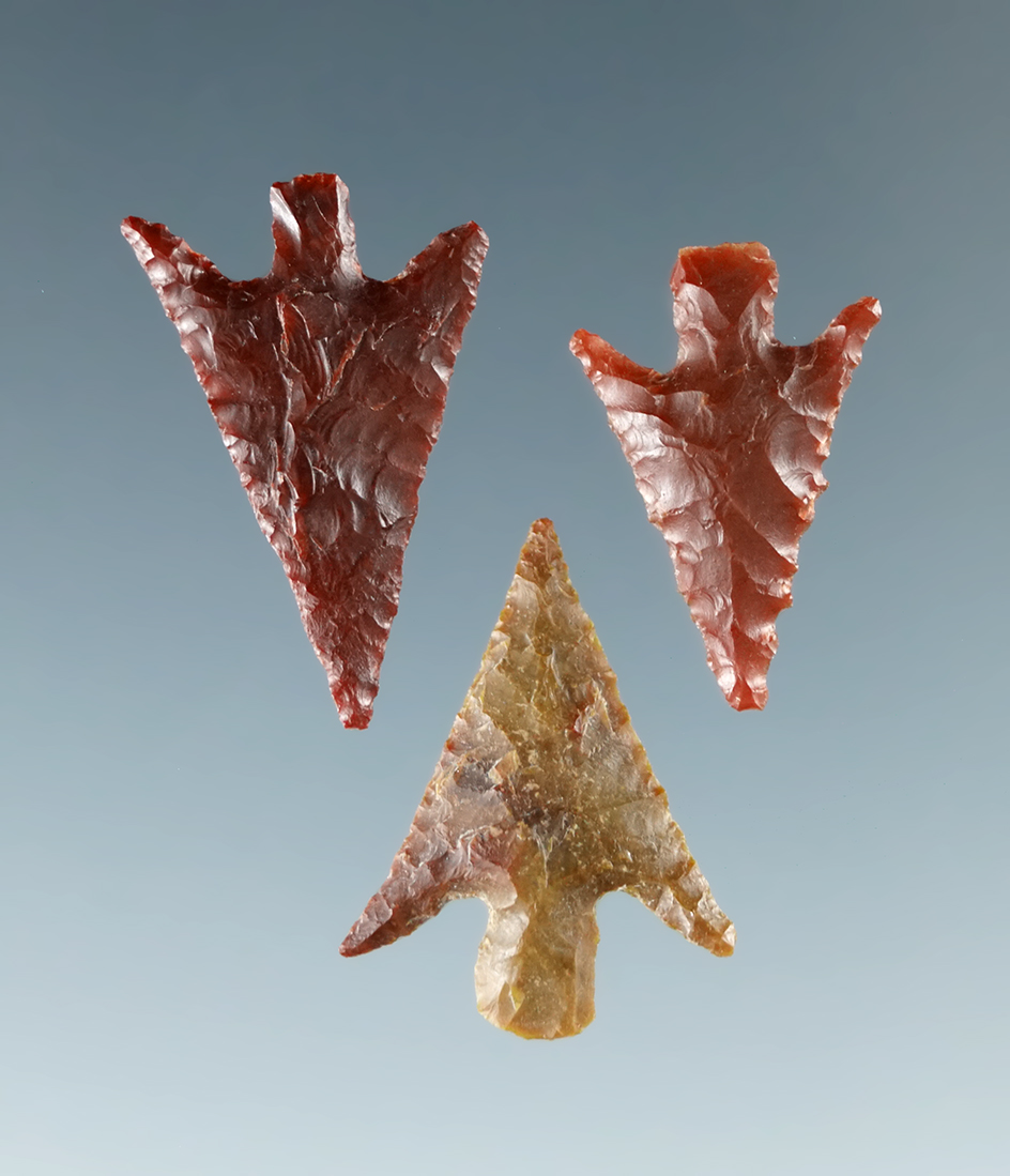 Set of three nicely flaked Columbia Plateau points, largest is 3/4".
