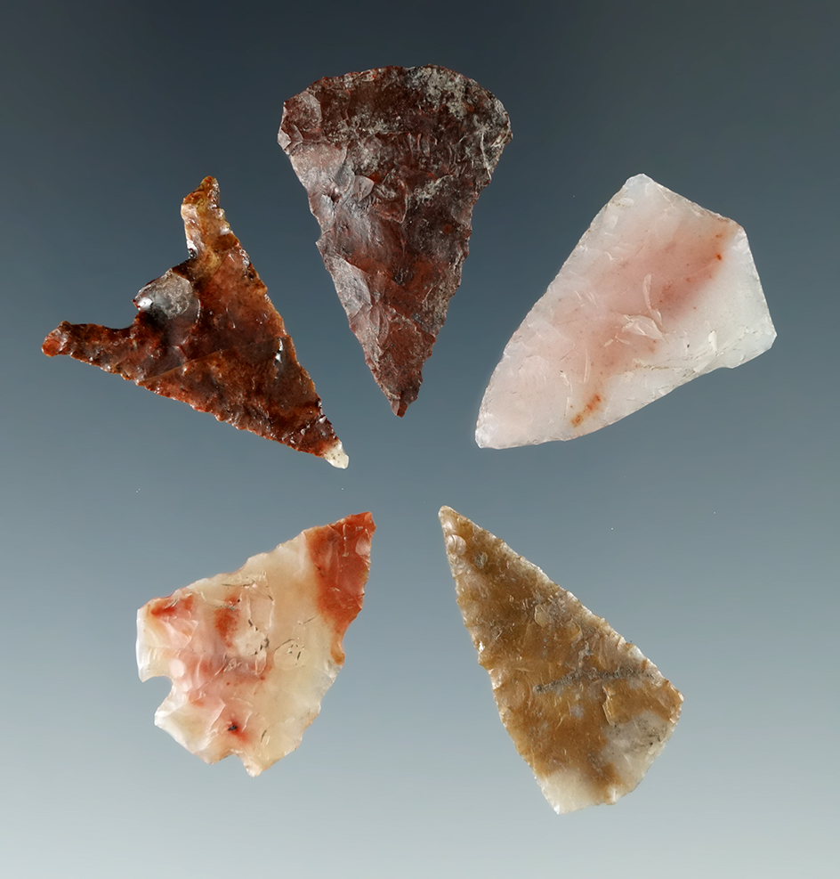 Set of five colorful arrowheads found near the Columbia River, largest is 1".