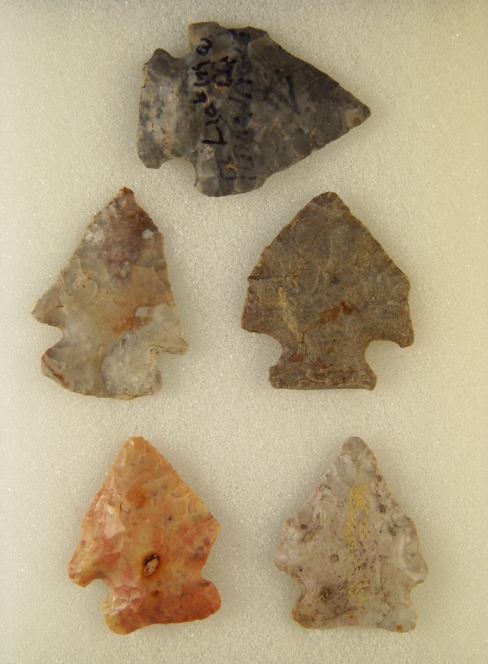 Group of five Pentagonal points found in Licking and Perry Co.,  Ohio. Largest is 1 7/16".