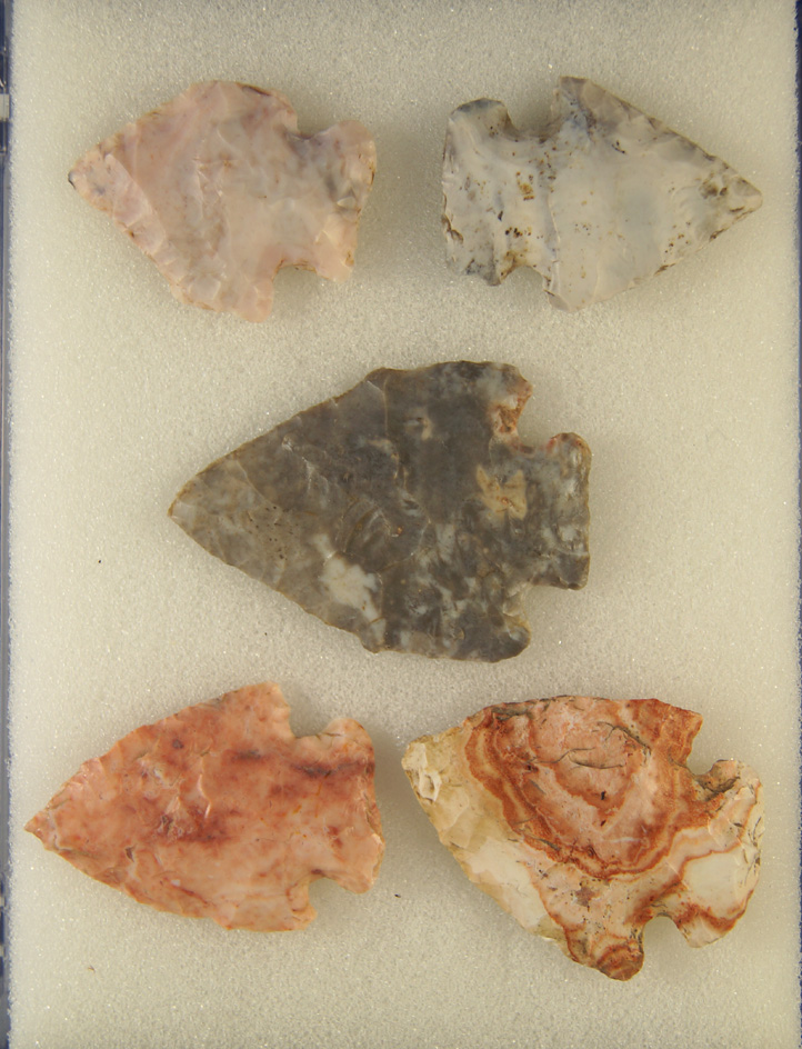 Group of 5 Highly Colorful Flint Ridge Pentagonals, largest is 1 3/4". Found in Ohio.