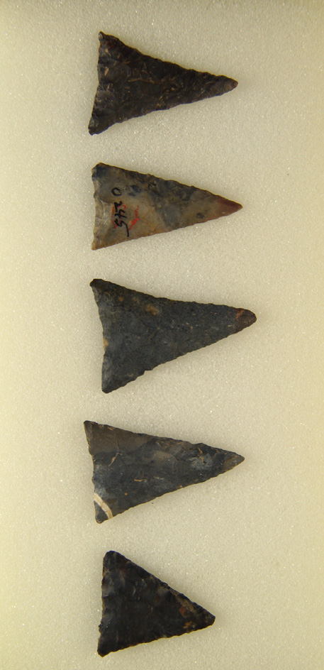 Set of five Coshocton Flint Triangle points found in Ohio in very nice condition. Largest is 1 7/16"