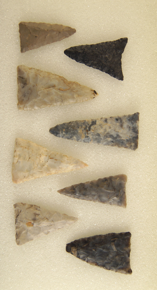Set of eight very nicely made Ohio Triangle points, largest is 1 5/8".