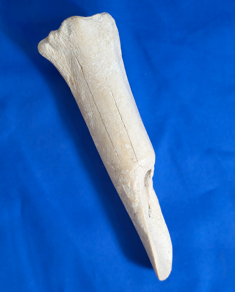 Main artifact image