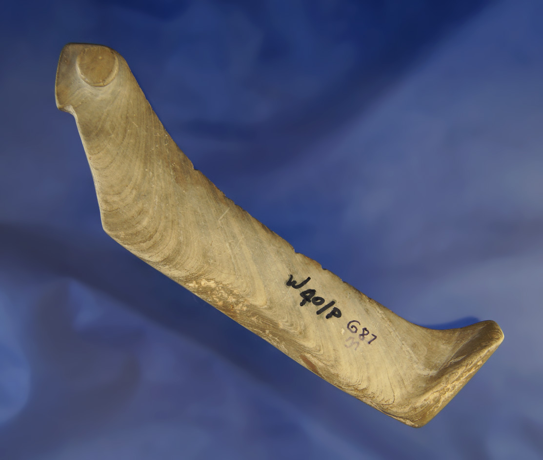Main artifact image
