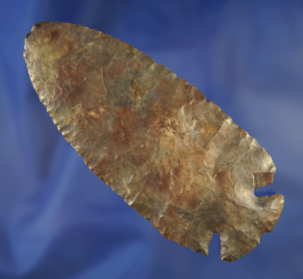 4 1/2" Multi-colored Coshocton Notch Base Dovetail found in Knox Co., Ohio. Ex. Glenn Spray