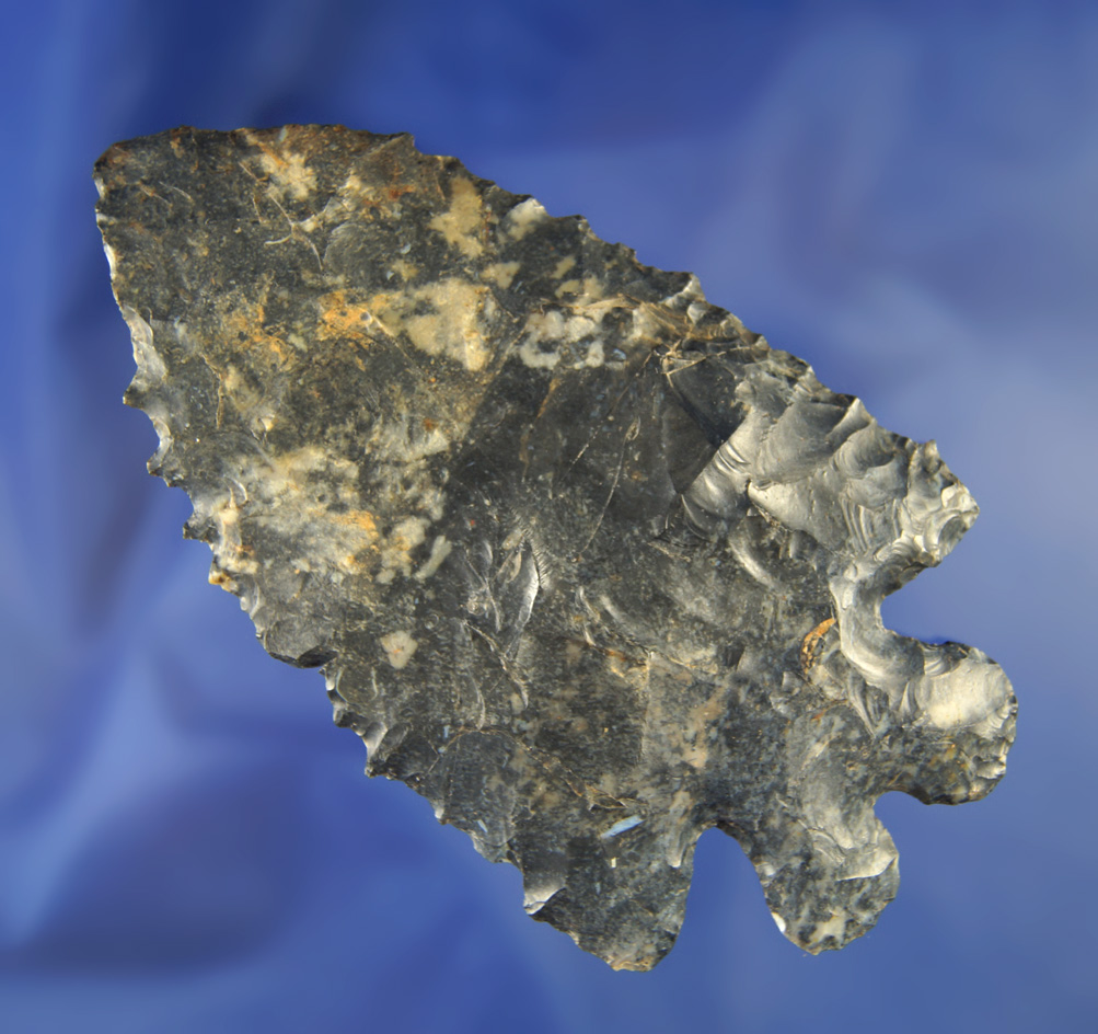 Large and rare size 4 1/4" Coshocton Bifurcate that has been broken and glued tight, Ohio.