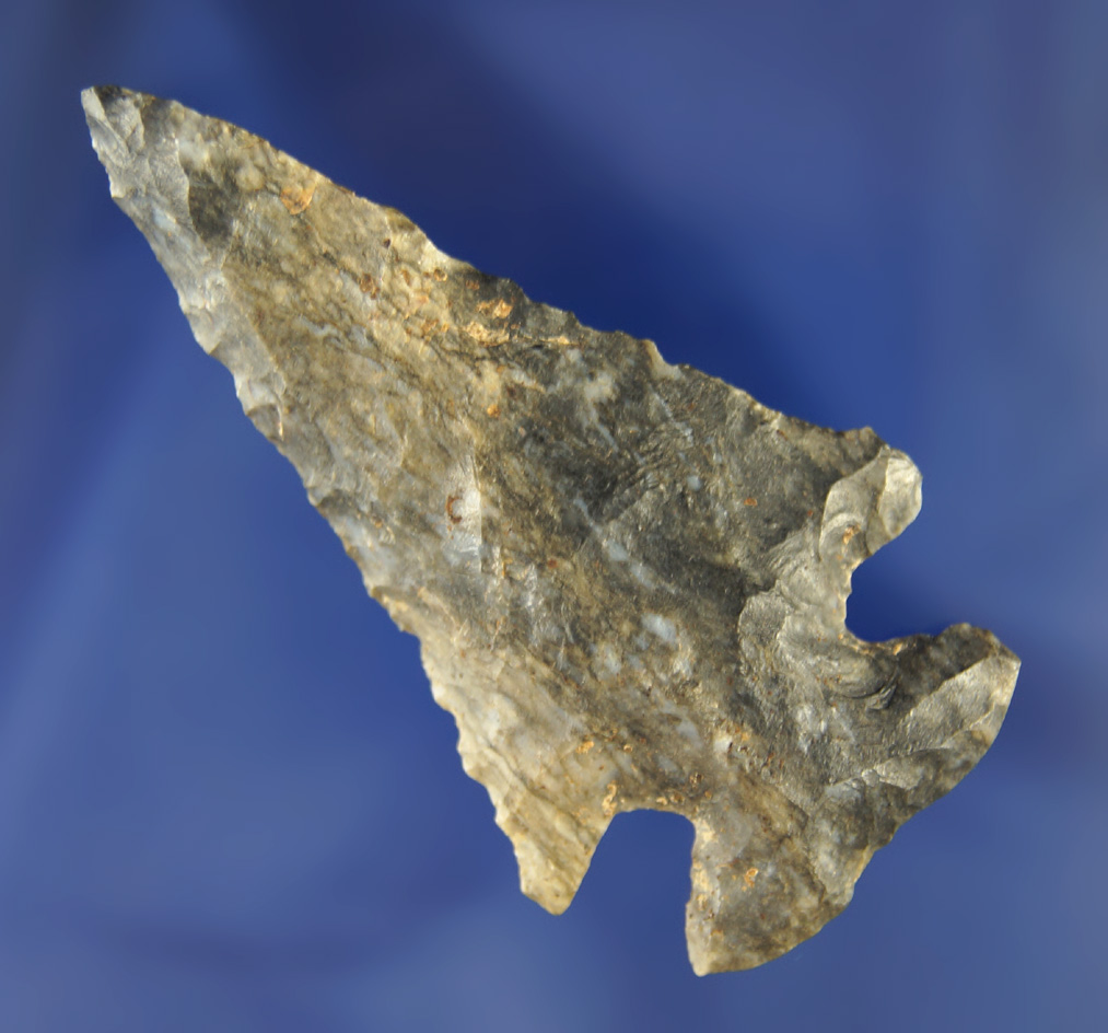 2 11/16" Notched Base beveled Dovetail found in Ohio made from attractive Upper Mercer Flint.