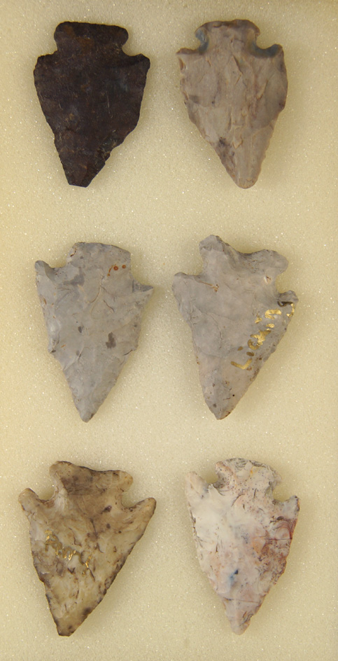 Set of six Ohio Pentagonal points, largest is 1 3/4" found in Logan Co., Ohio near the Miami River.