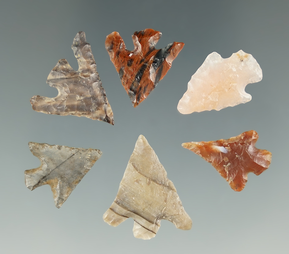 Set of six Columbia Plateau points found near the Columbia River, largest is 7/8".