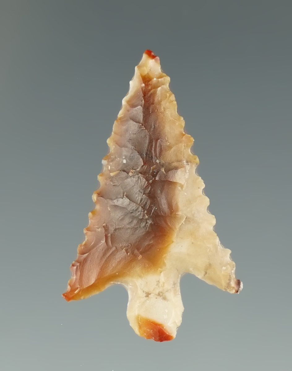 1 1/8" Nicely serrated Columbia Plateau made from beautiful Agate.