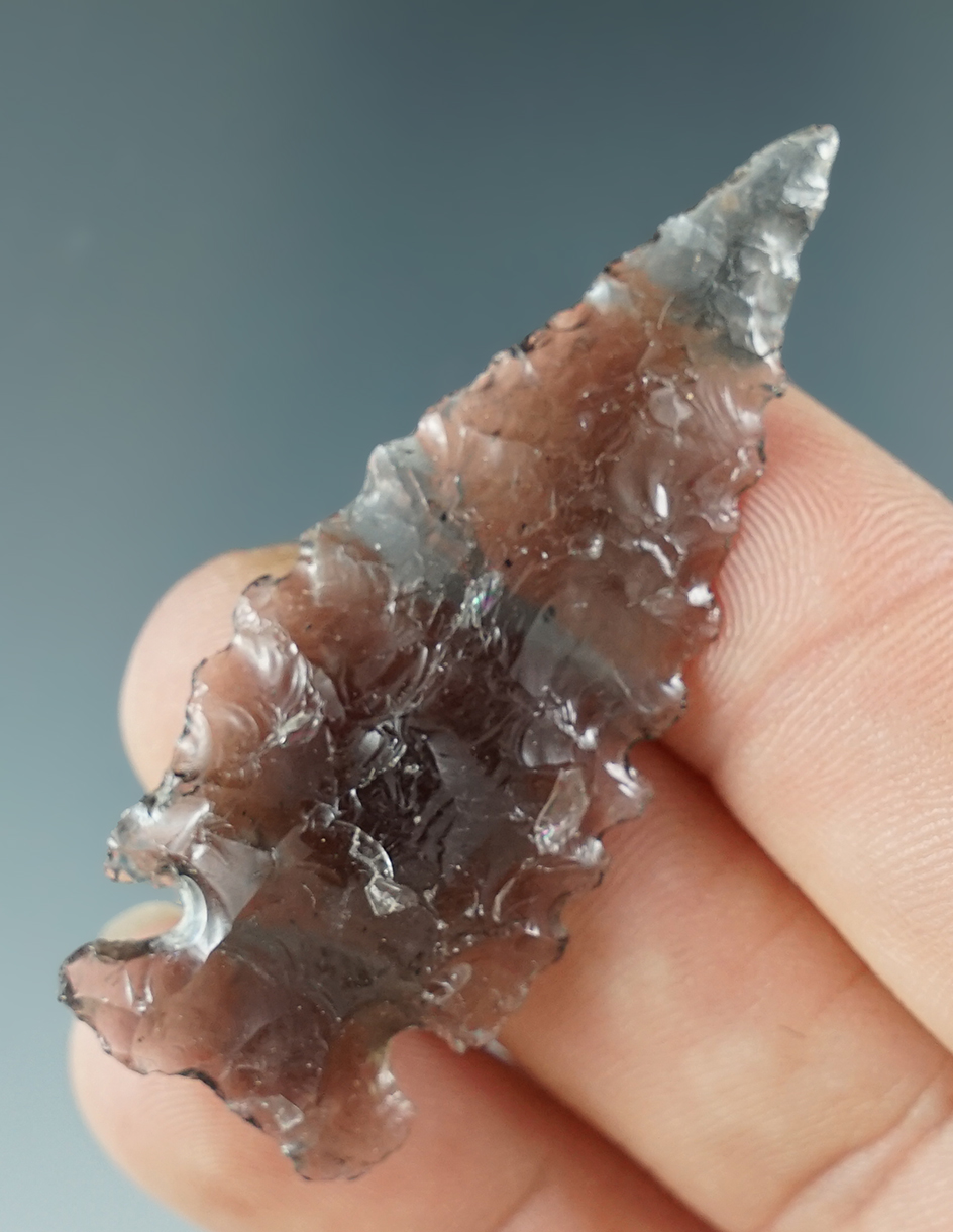 2 1/16" Northern Sidenotch with serrations, made from translucent Obsidian - Oregon.