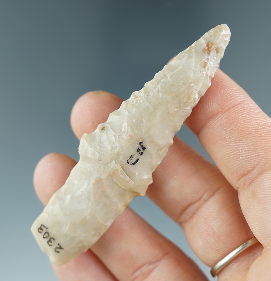 2 15/16" Wells found in Travis Co., Texas.