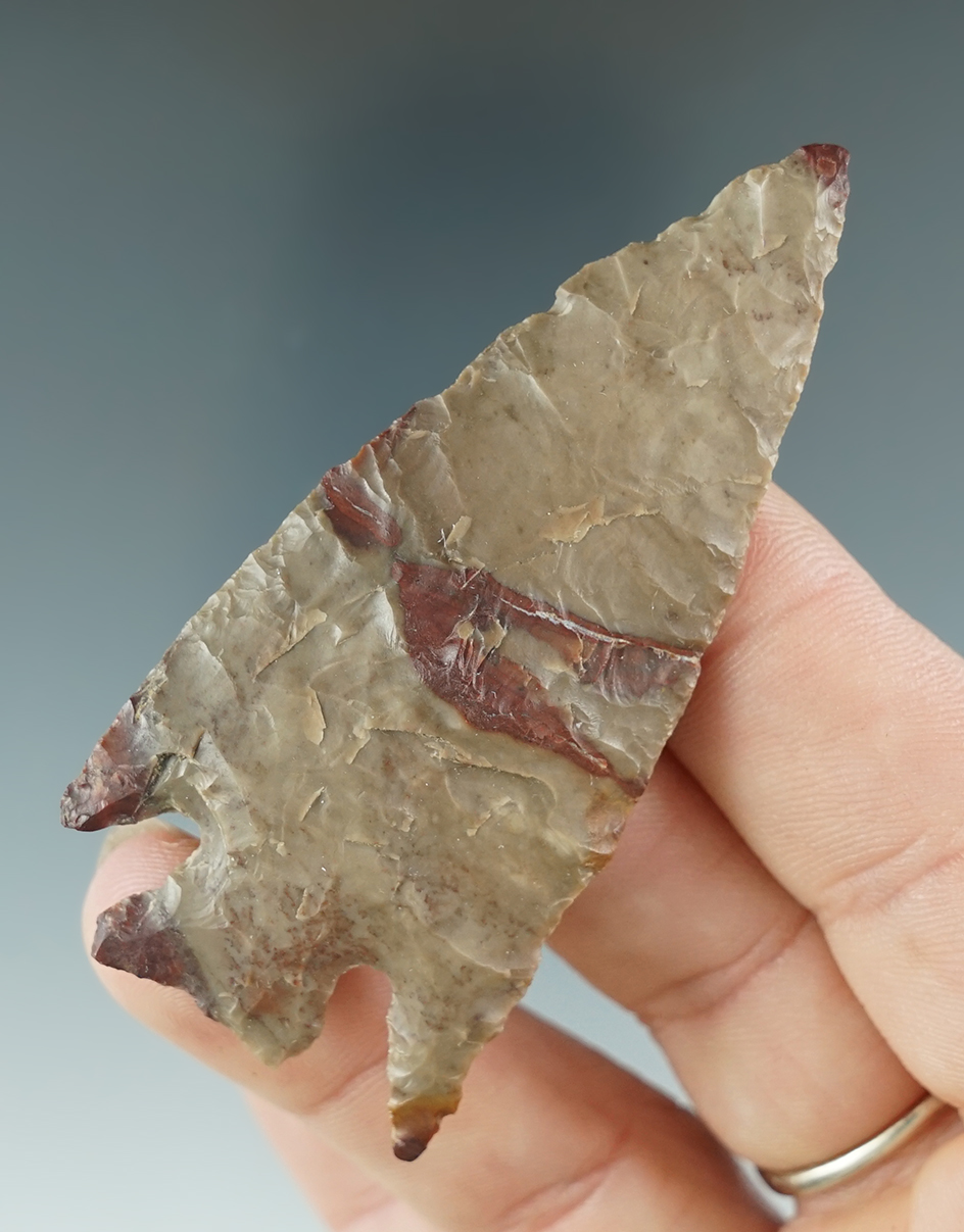 2 3/4" Snake River Cornernotch that is large for the type. Found along the Columbia River.