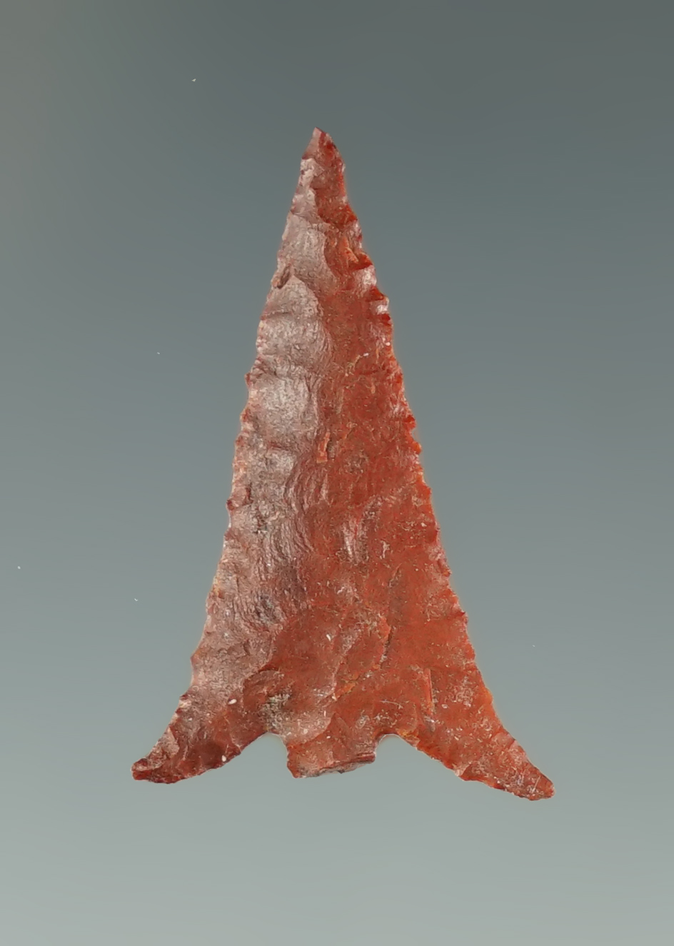 Excellent flaking on this 1 3/16" Columbia Plateau with nicely swept wings, made from Jasper.