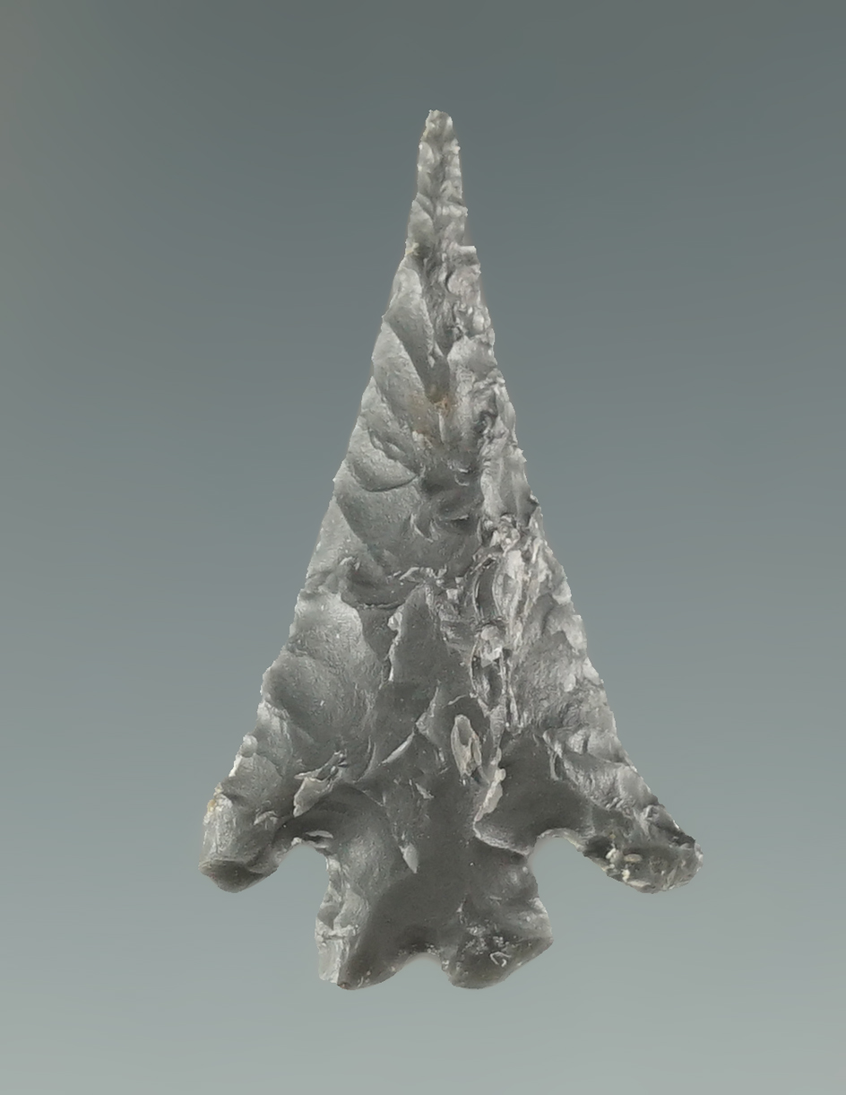 1 3/16" Columbia Plateau made from Obsidian, found in Malheur Co., Oregon.