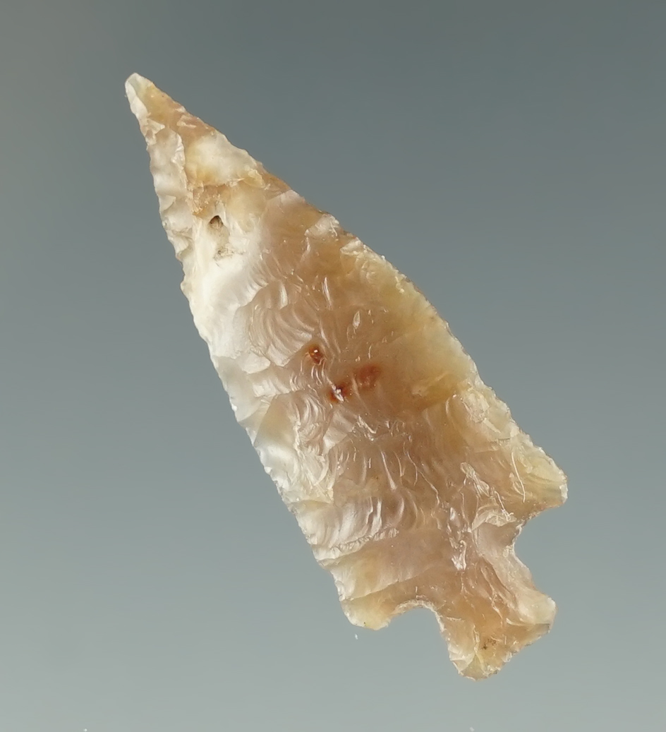 Beautiful material on this 1 5/16" Wallula that is nicely flaked. Found near the Columbia River.