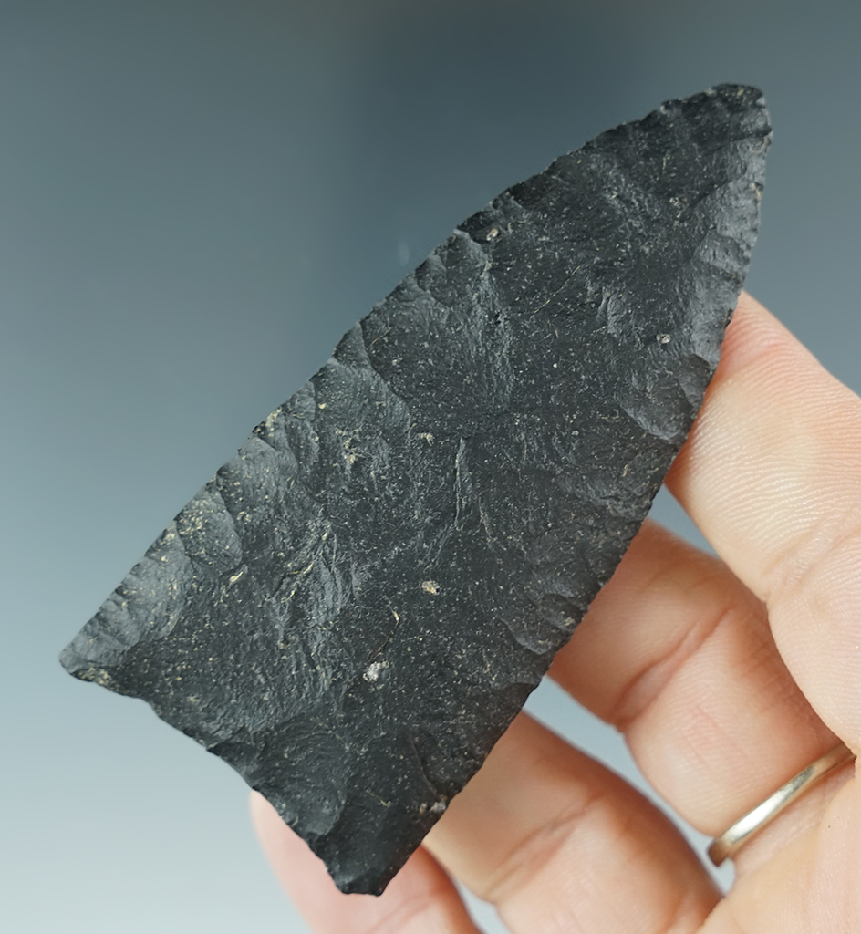Main artifact image