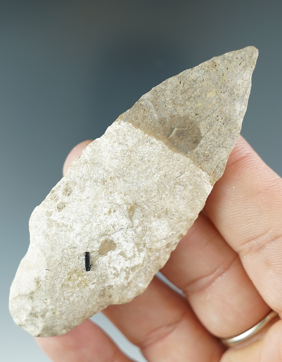 Main artifact image