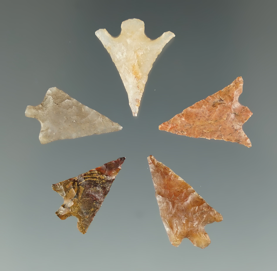 Set of 5 Columbia Plateau points found near the Columbia River, largest is 3/4".