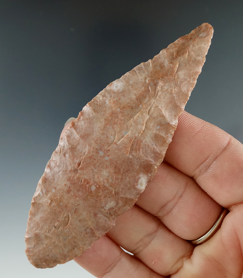 Main artifact image