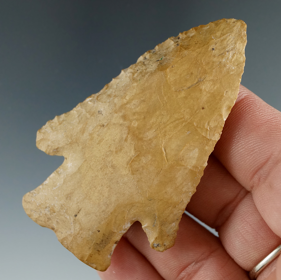 Main artifact image
