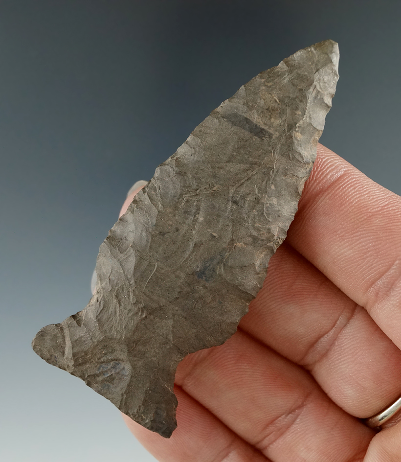 2 13/16" Fishtail with restoration to 3/16" of tip found in New York.