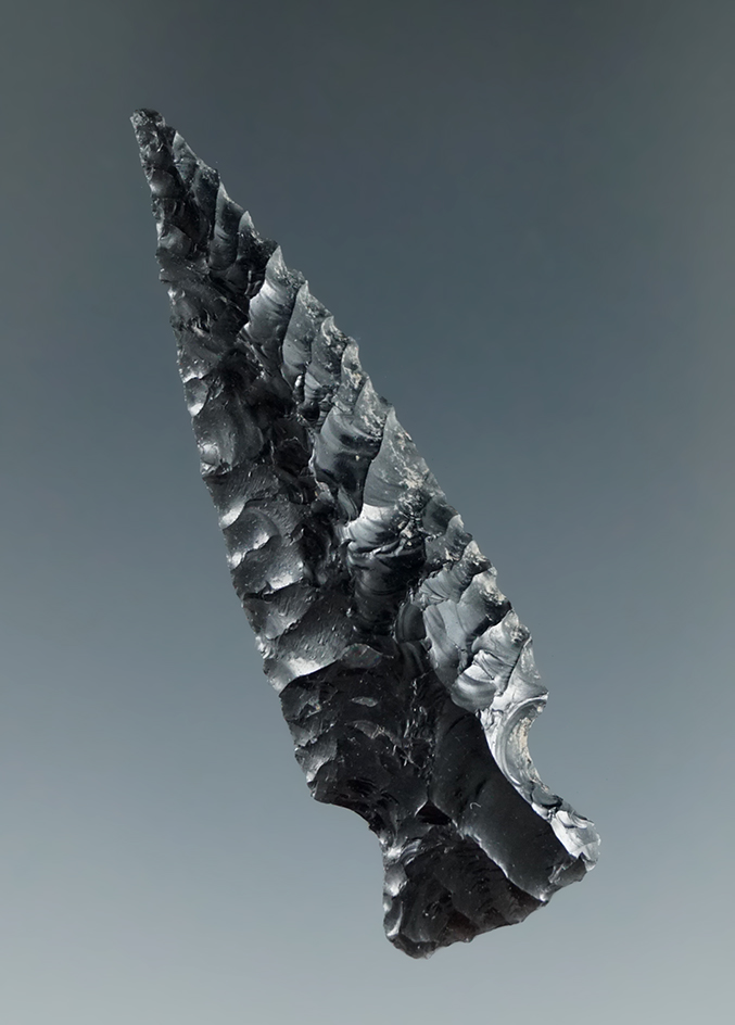 Main artifact image