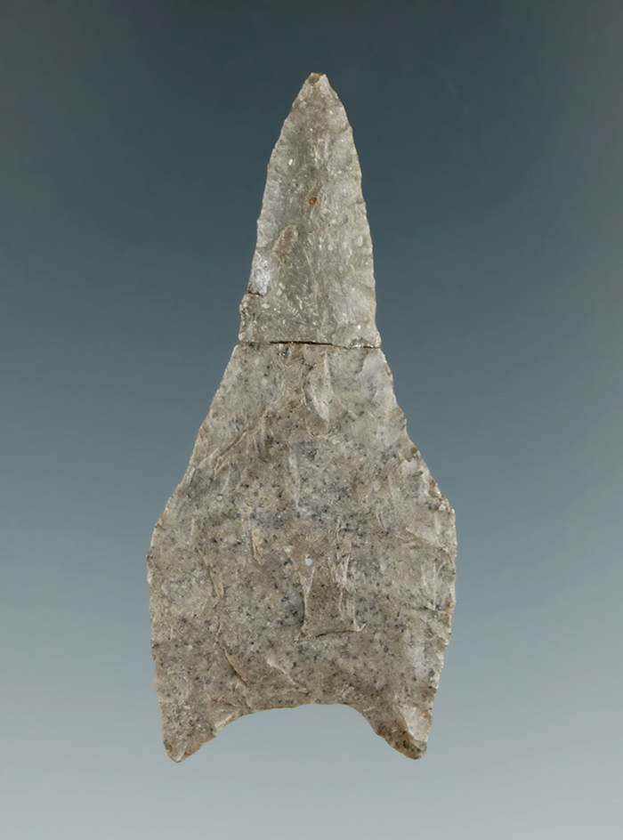 2" Jack's Reef Pentagonal that is exceptionally thin. Broken and glued near the tip.  Perry, New Yor