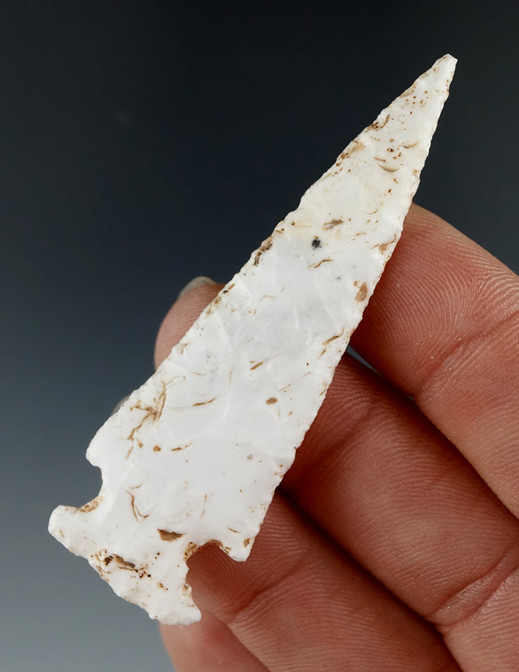 Main artifact image