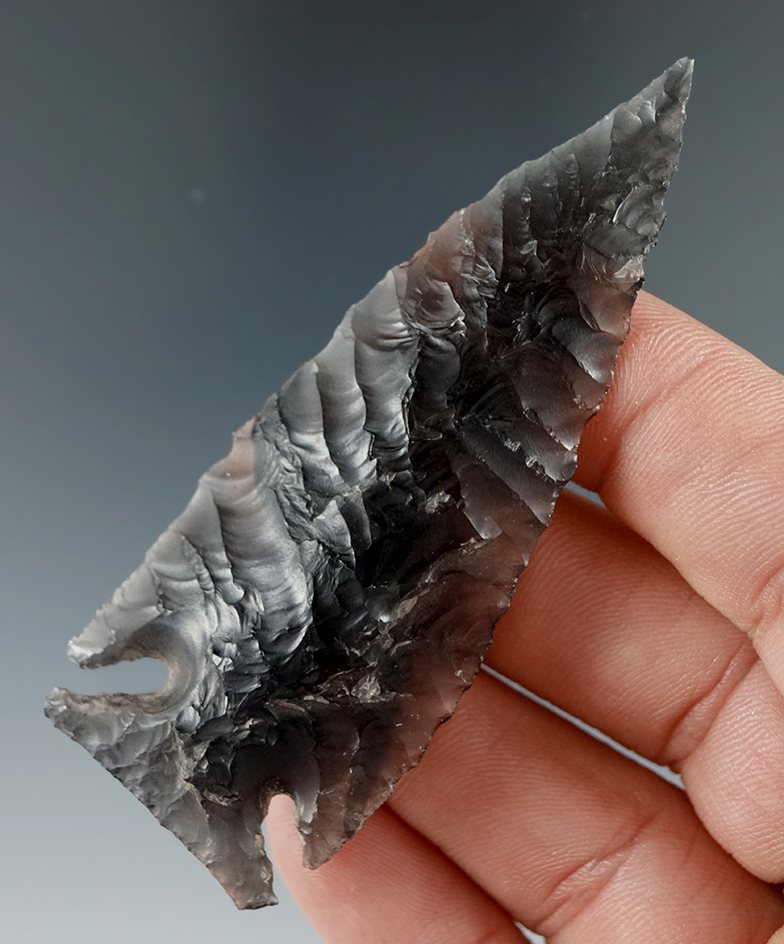 Main artifact image