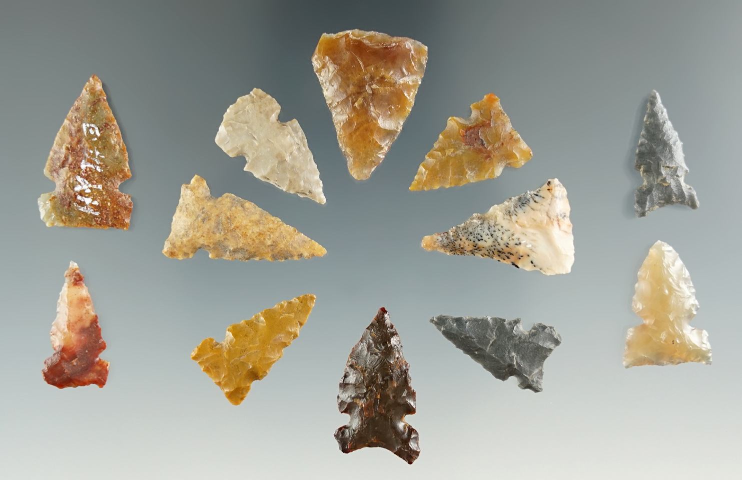 Set of 12 assorted arrow points found near Yeager Island, Columbia River. Largest is 7/8".