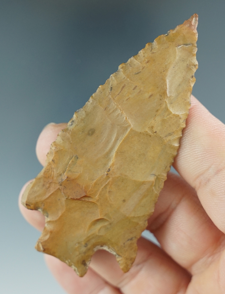 Main artifact image