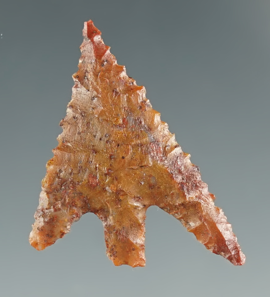 1 1/8" Jasper Gunther found near Klamath Lake, OR. Comes with a Perino COA.