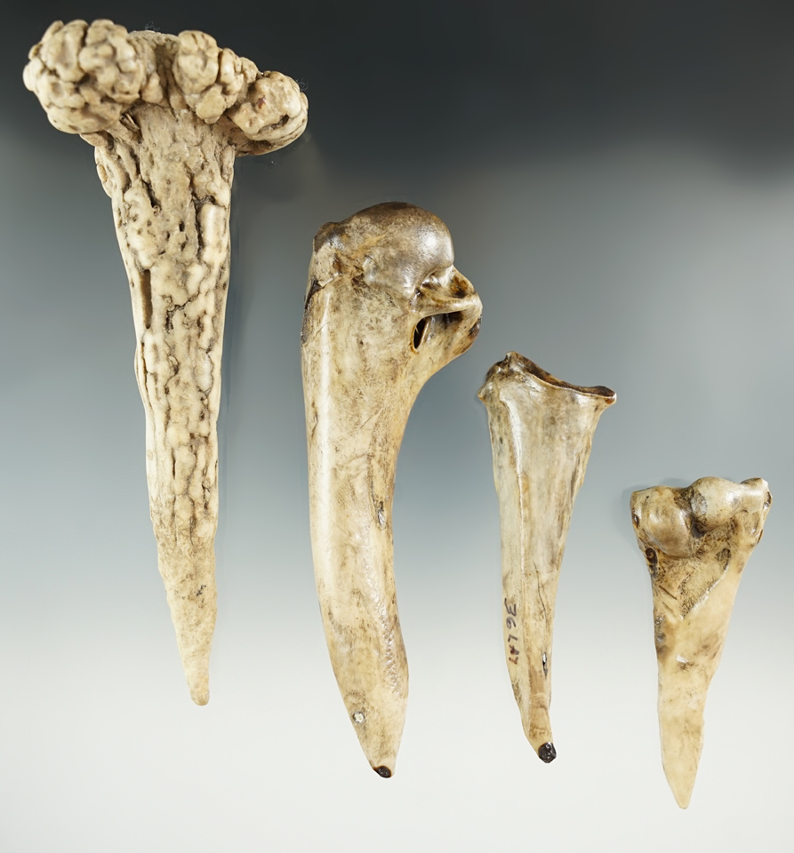 Set of four bone and antler tools found at a site in Kentucky.