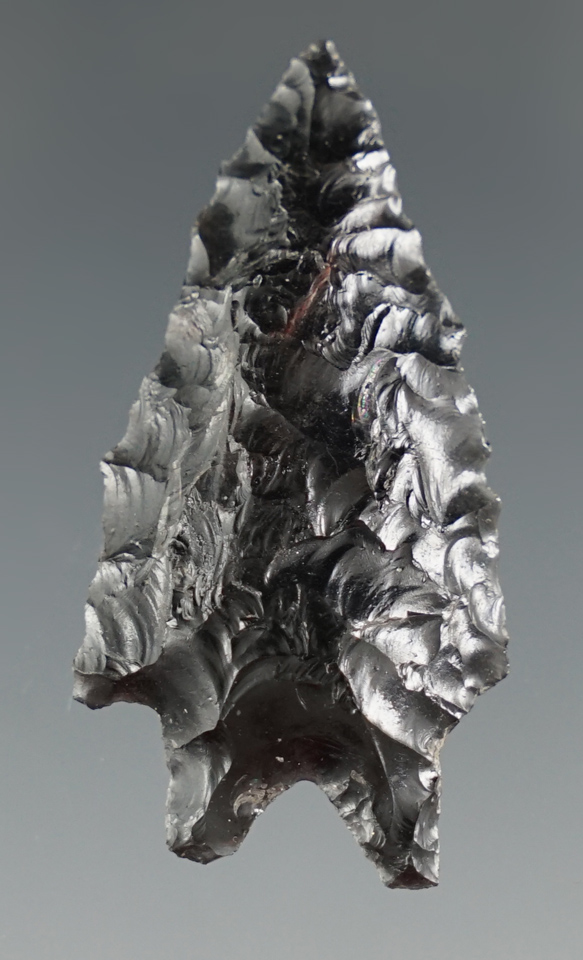 1 5/8" Obsidian Pinto Basin found in Lake Co., Oregon. Ex. Milton Tuck, Jim Hogue Collections.