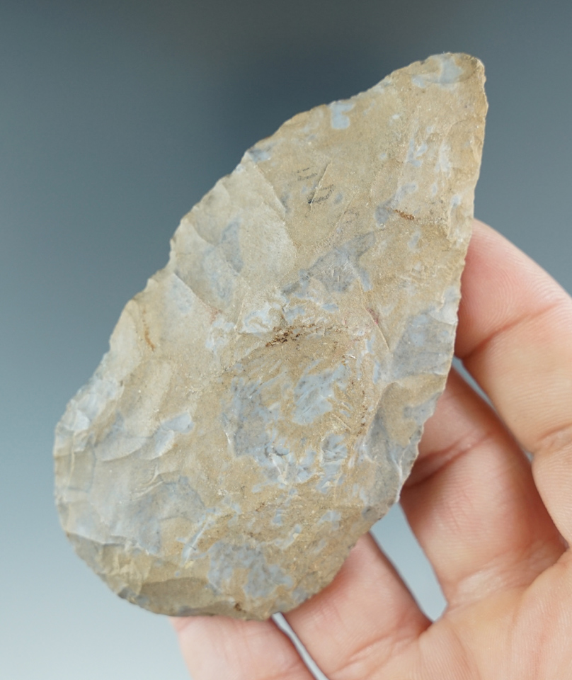 Main artifact image
