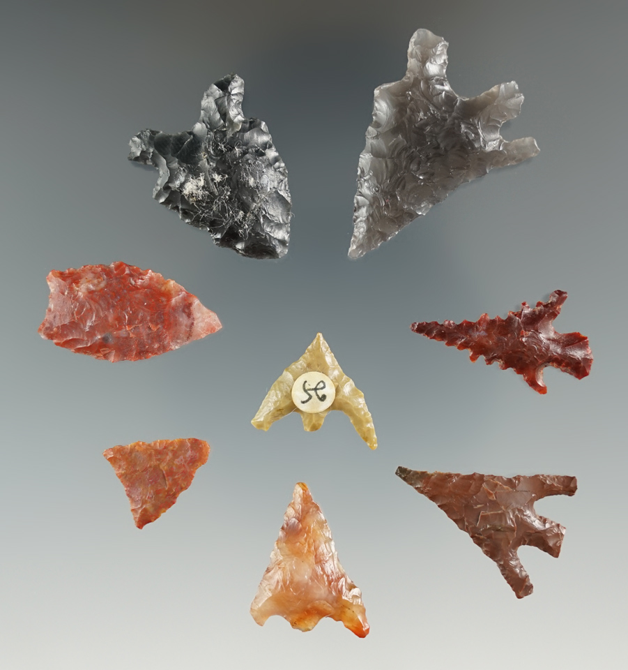 Set of eight assorted flaked points found near Wasco Lake, Klamath County Oregon by Ed Pointras.