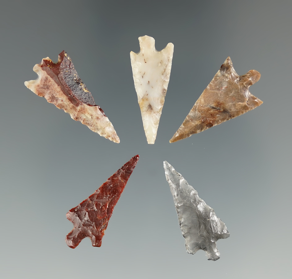 Set of five very nice Columbia River arrowheads, largest is 1".