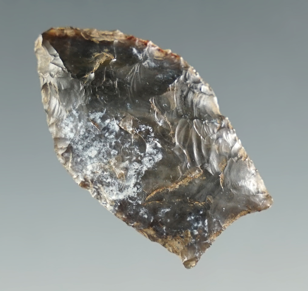 1 1/16" Paleo Spedis Fishtail found near the Columbia River, Umatilla Oregon.  Motley COA.