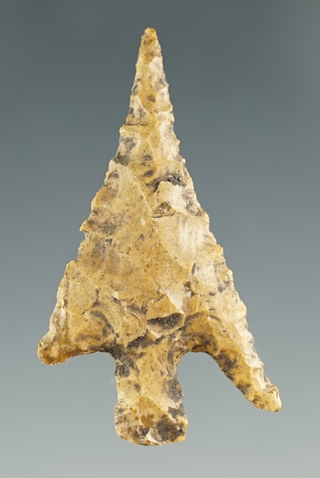 1 7/16" long-stemmed Gunther found near the Rogue River, Oregon. Ex. Jim Hogue collection.