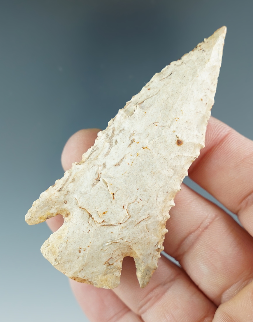 Main artifact image