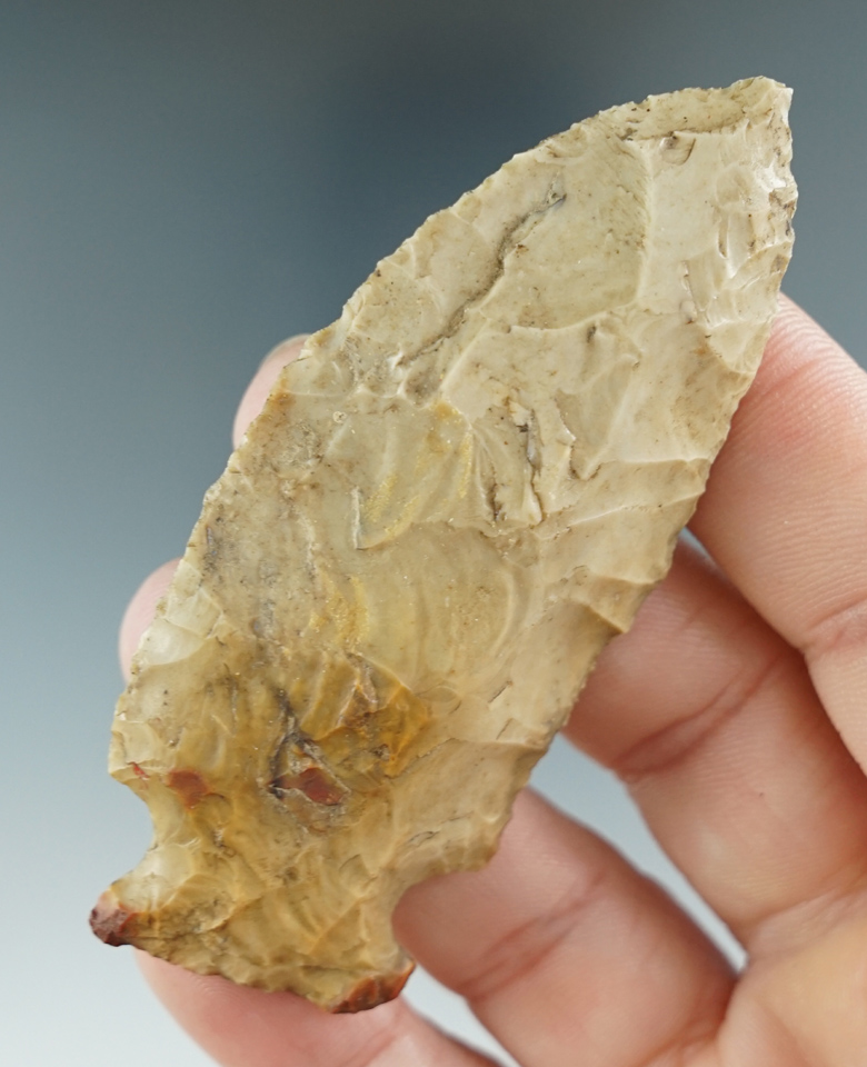 Main artifact image