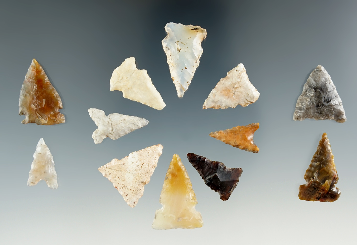 Group of 12 assorted arrow points found near Clatskanie, Oregon. Largest is 15/16".