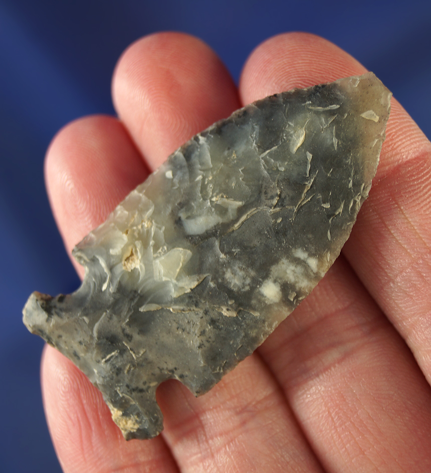 2" Lookingbill made from beautiful material with clear translucent areas. Wyoming.