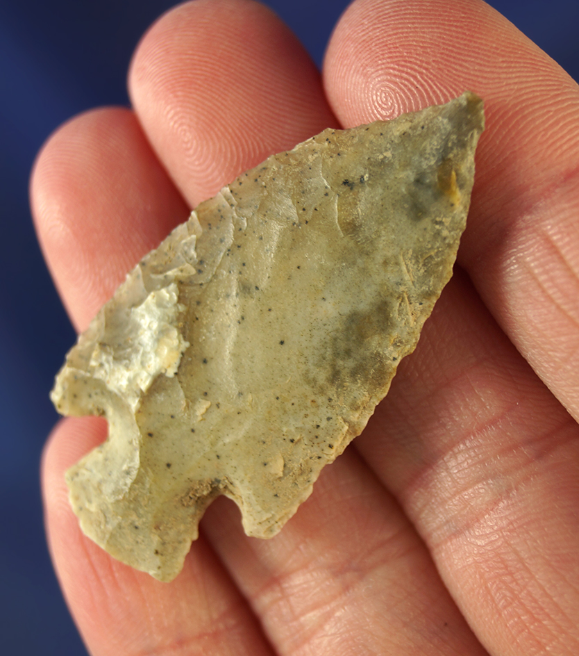 Main artifact image