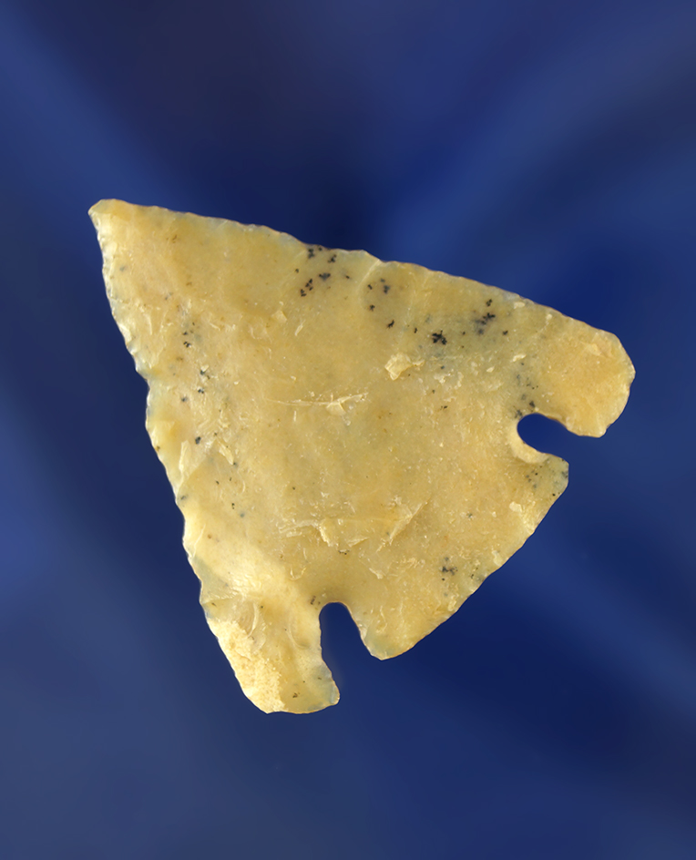 Main artifact image